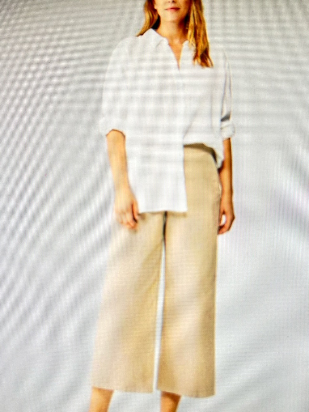 Eileen Fisher Wide-Leg Cropped Pants in Beige Linen. Size S. NWTGS